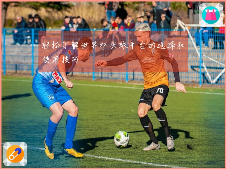轻松了解世界杯买球平台的选择和使用技巧