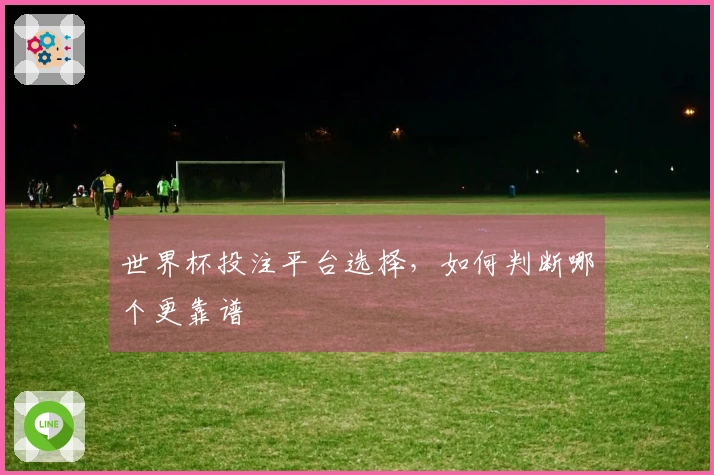 世界杯投注平台选择，如何判断哪个更靠谱