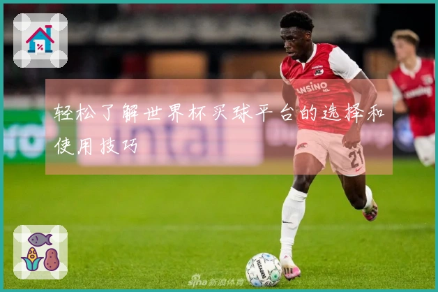 轻松了解世界杯买球平台的选择和使用技巧
