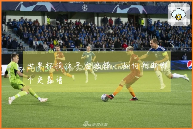 世界杯投注平台选择，如何判断哪个更靠谱