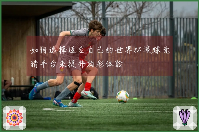 如何选择适合自己的世界杯滚球竞猜平台来提升购彩体验