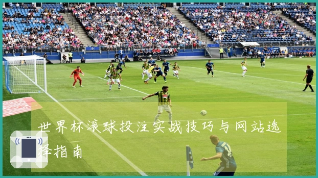 世界杯滚球投注实战技巧与网站选择指南
