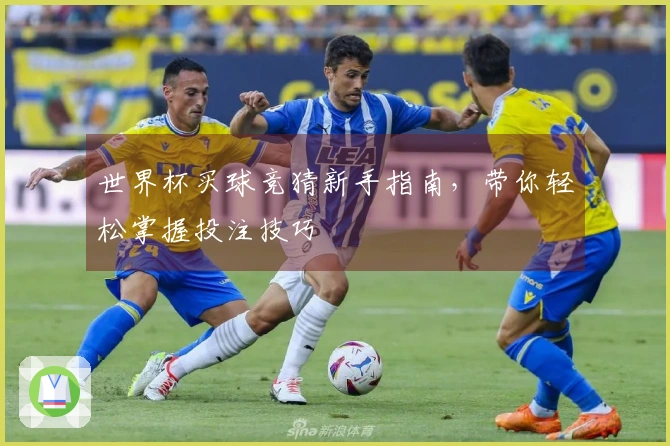 世界杯买球竞猜新手指南，带你轻松掌握投注技巧