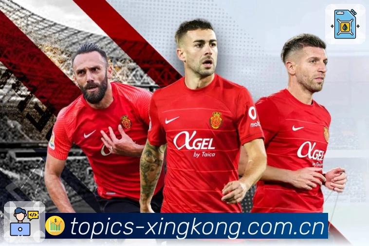 资料与数据认证展示